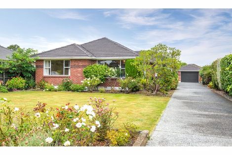 Photo of property in 15 Manuka Street, Mairehau, Christchurch, 8013