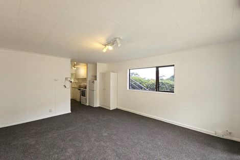Photo of property in 93 Queen Street, North Dunedin, Dunedin, 9016