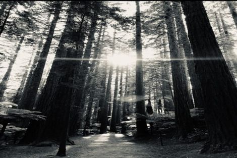 Photo of property in 106b Tarawera Road, Lynmore, Rotorua, 3010