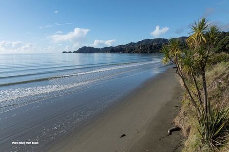 Photo of property in 19 Pohutukawa Place, Pohara, Takaka, 7183