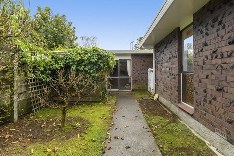 Photo of property in 66a Sixteenth Avenue, Tauranga South, Tauranga, 3112
