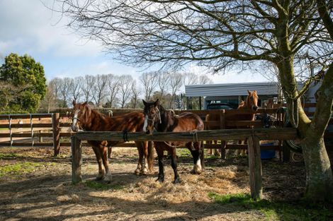 Photo of property in 75 Vospers Road, Lichfield, Putaruru, 3482