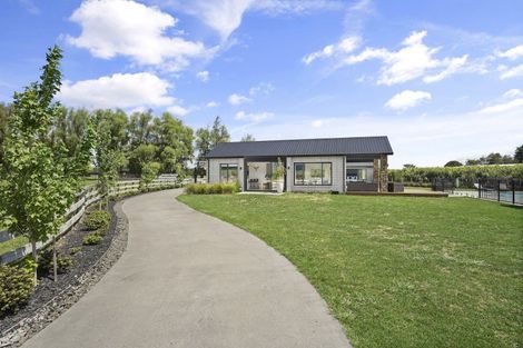 Photo of property in 91 Aspin Road, Cambridge, 3496