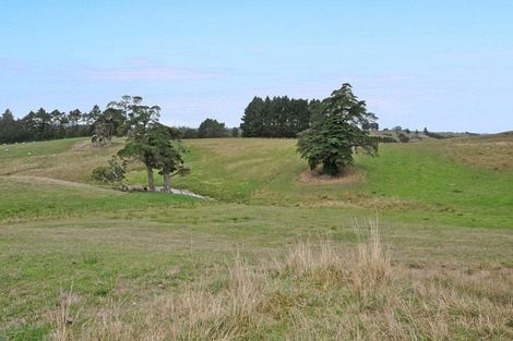 Photo of property in 306 Underwood Road, Wellsford, 0973