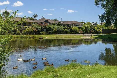 Photo of property in 127 Saint Andrews Drive, Bethlehem, Tauranga, 3110