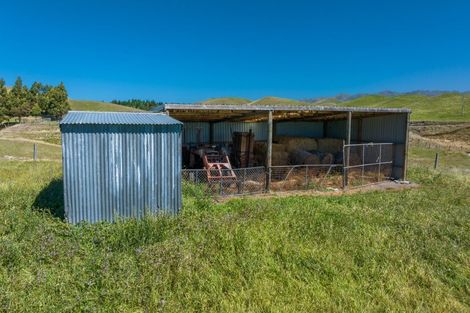 Photo of property in 363 Caseys Road, Lake Grassmere, Seddon, 7285
