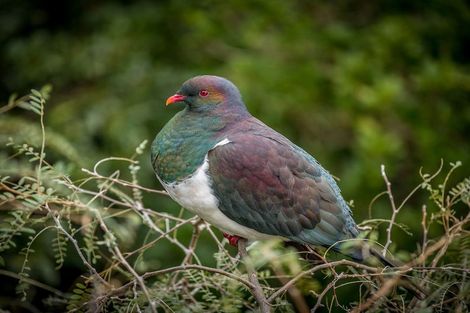 Photo of property in 64 Motuhara Road, Plimmerton, Porirua, 5026