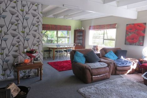 Photo of property in 20 Jollie Street, Geraldine, 7930