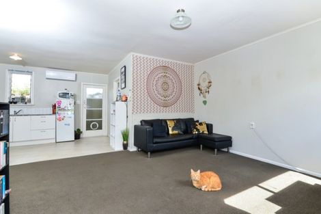 Photo of property in 5a Saint Olpherts Avenue, Hamilton East, Hamilton, 3216