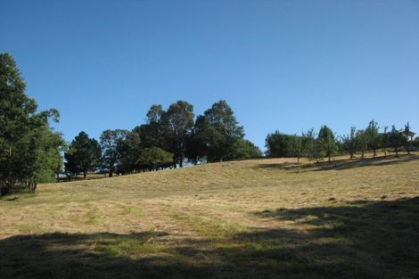 Photo of property in 48d Youngson Road, Whakamarama, 3180