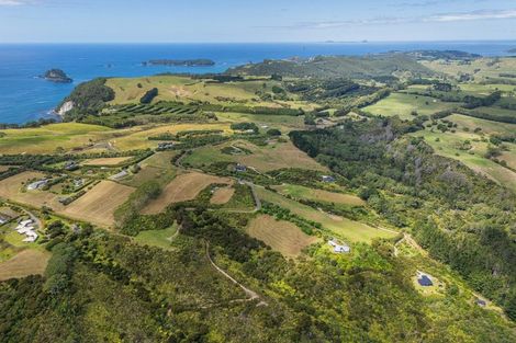 Photo of property in 404 Lees Road, Hahei, Whitianga, 3591