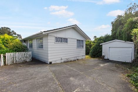 Photo of property in 48 Kaikoura Street, Henderson, Auckland, 0612