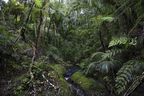 Photo of property in 37 Wairakau Road, Totara North, Kaeo, 0479
