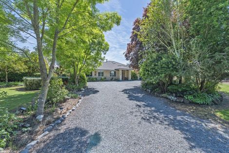Photo of property in 1103 Downs Road, West Eyreton, Rangiora, 7475