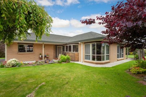 Photo of property in 10 Grant Place, Matamata, 3400