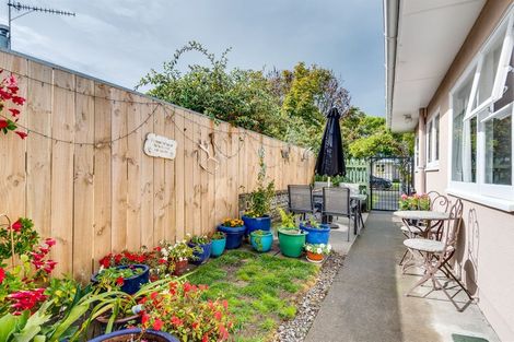 Photo of property in 4/22 Morgan Avenue, Marewa, Napier, 4110