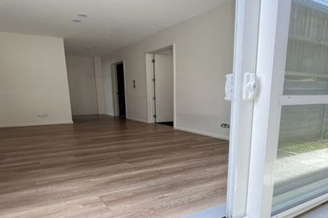 Photo of property in 19 Hing Street, Flat Bush, Auckland, 2019