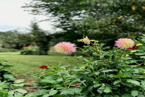 Photo of property in 263a Walton Road, Richmond Downs, Walton, 3475