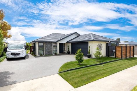 Photo of property in 43 Easthaven Place, Redwoodtown, Blenheim, 7201