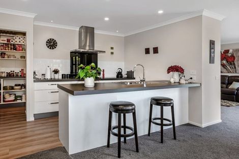 Photo of property in 169 John Burke Drive, Aotea, Porirua, 5024