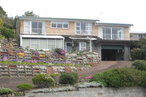Photo of property in 25 Findlay Street, Moturoa, New Plymouth, 4310
