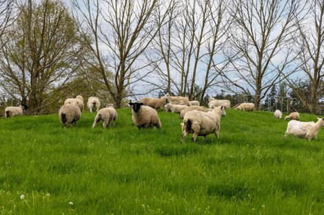 Photo of property in 4666 State Highway 1, Tokoroa, 3491