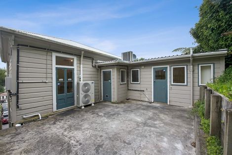 Photo of property in 17 Essex Street, Aro Valley, Wellington, 6021