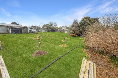 Photo of property in 26 Collins Crescent, Feilding, 4702