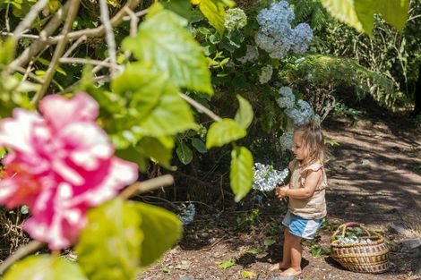 Photo of property in 22 Gilbert Mair Rise, Russell, 0272