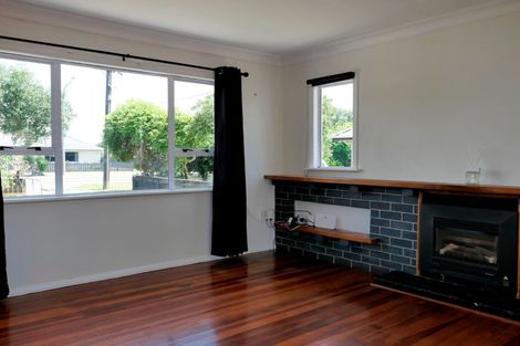 Photo of property in 166 Queen Street West, Levin, 5510