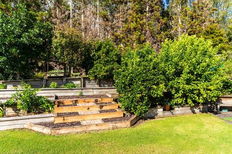 Photo of property in 81 Avocado Lane, Mangawhai, Wellsford, 0975