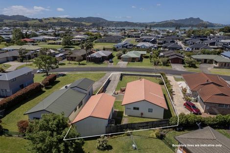 Photo of property in 41 Springbok Avenue, Whitianga, 3510