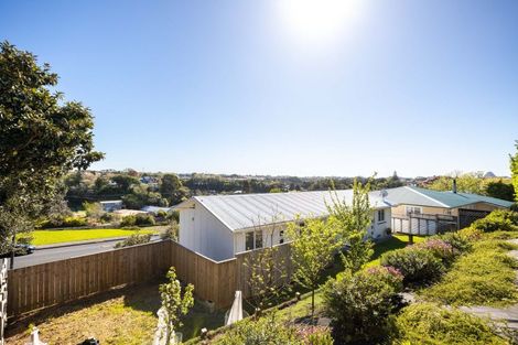 Photo of property in 293 Tukapa Street, Hurdon, New Plymouth, 4310