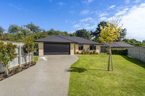 Photo of property in 10 Dow Chung Place, Otaki, 5512