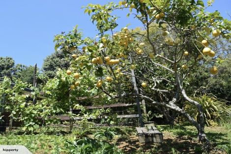 Photo of property in 63 Pa Road, Kerikeri, 0230