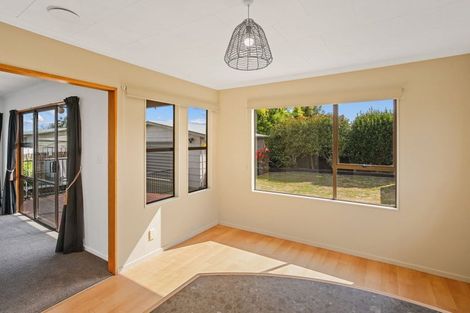 Photo of property in 17 Giblin Street, Richmond, 7020