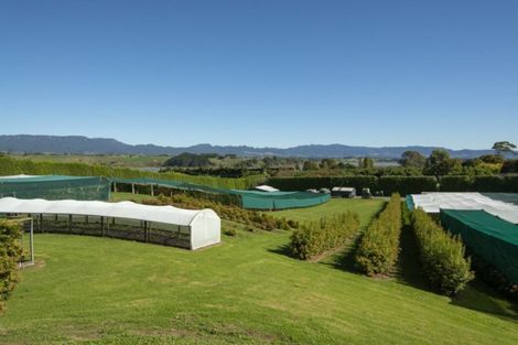 Photo of property in 261 Pahoia Road, Whakamarama, Tauranga, 3172