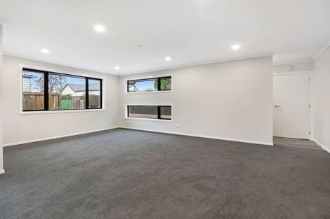 Photo of property in 164a Chalmers Avenue, Hampstead, Ashburton, 7700