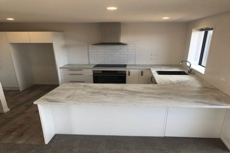 Photo of property in 41 Fairmaid Street, Lincoln, 7608