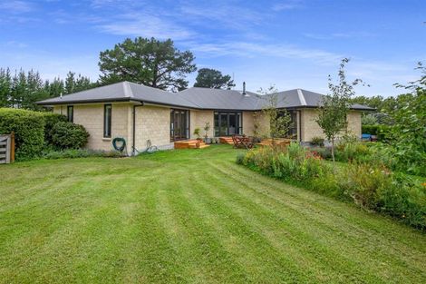 Photo of property in 159 Brodies Road, Broomfield, 7482