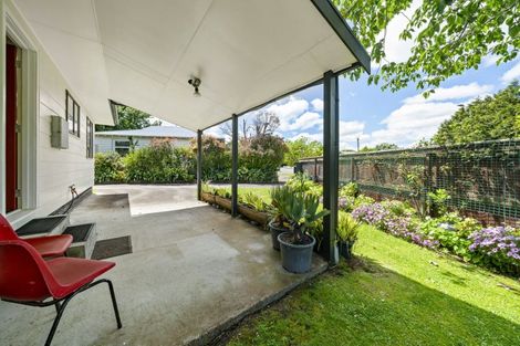 Photo of property in 21 Manson Street, Terrace End, Palmerston North, 4410