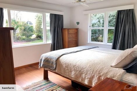 Photo of property in 50 Pagitt Street, Coromandel, 3506