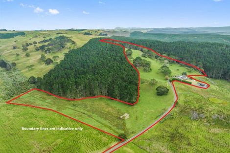 Photo of property in Babylon Coast Road, Parore, Dargaville, 0373