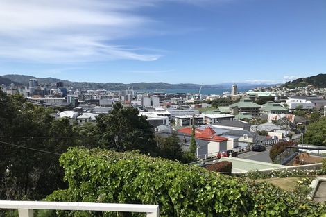 Photo of property in 5/33 Bidwill Street, Mount Cook, Wellington, 6021