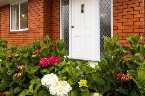 Photo of property in 176 Weld Street, Witherlea, Blenheim, 7201