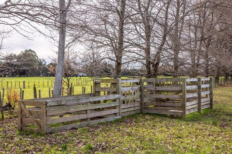 Photo of property in 221 Manaia Road, Homebush, Masterton, 5885