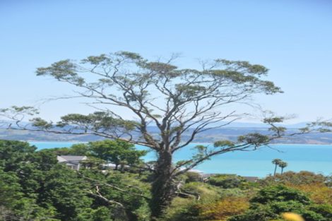 Photo of property in 6 Convent Road, Bluff Hill, Napier, 4110