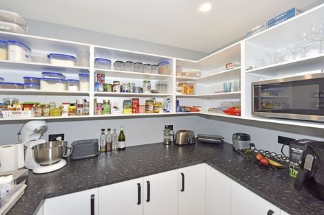 Photo of property in 2 Nicolau Avenue, Rolleston, 7615