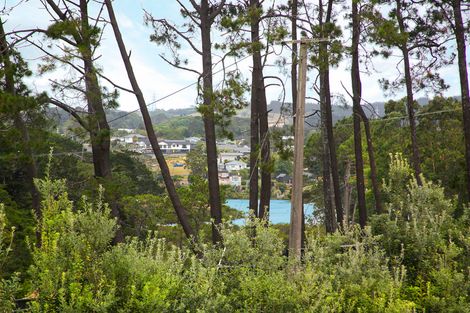 Photo of property in 117 Barrett Road, Riverhead, Albany, 0793