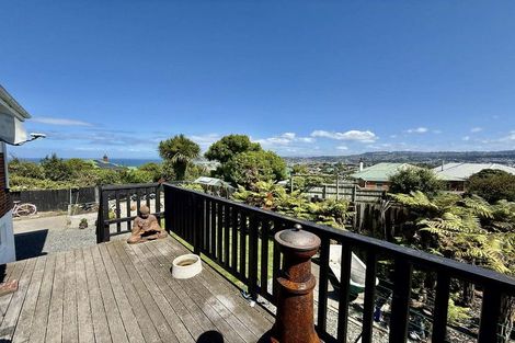 Photo of property in 104 Tomahawk Road, Andersons Bay, Dunedin, 9013